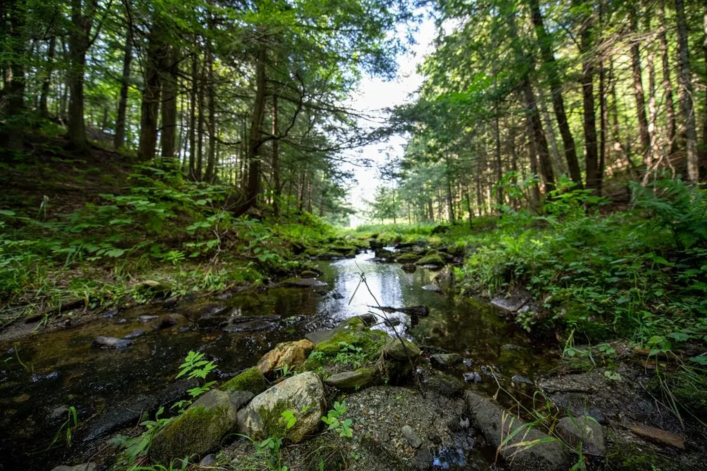 1440 Worcester Road Calais VT 05648