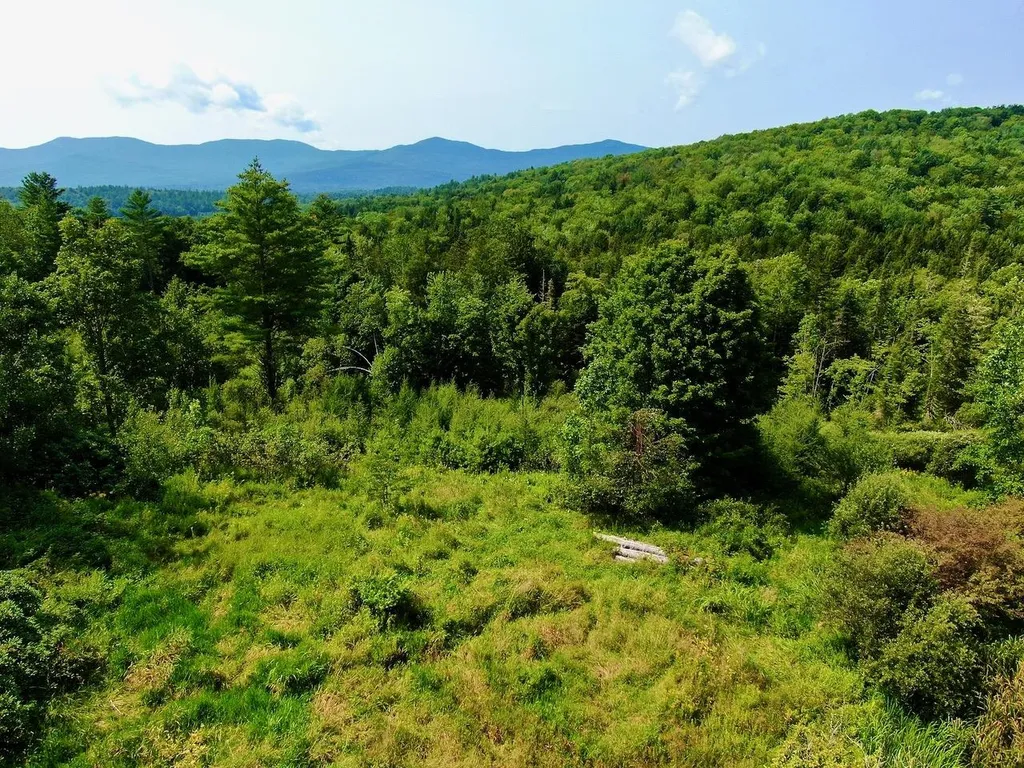 1440 Worcester Road Calais VT 05648