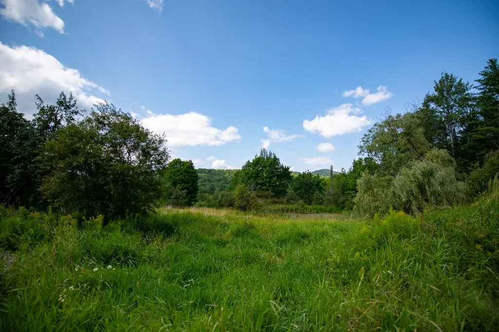 1440 Worcester Road Calais VT 05648