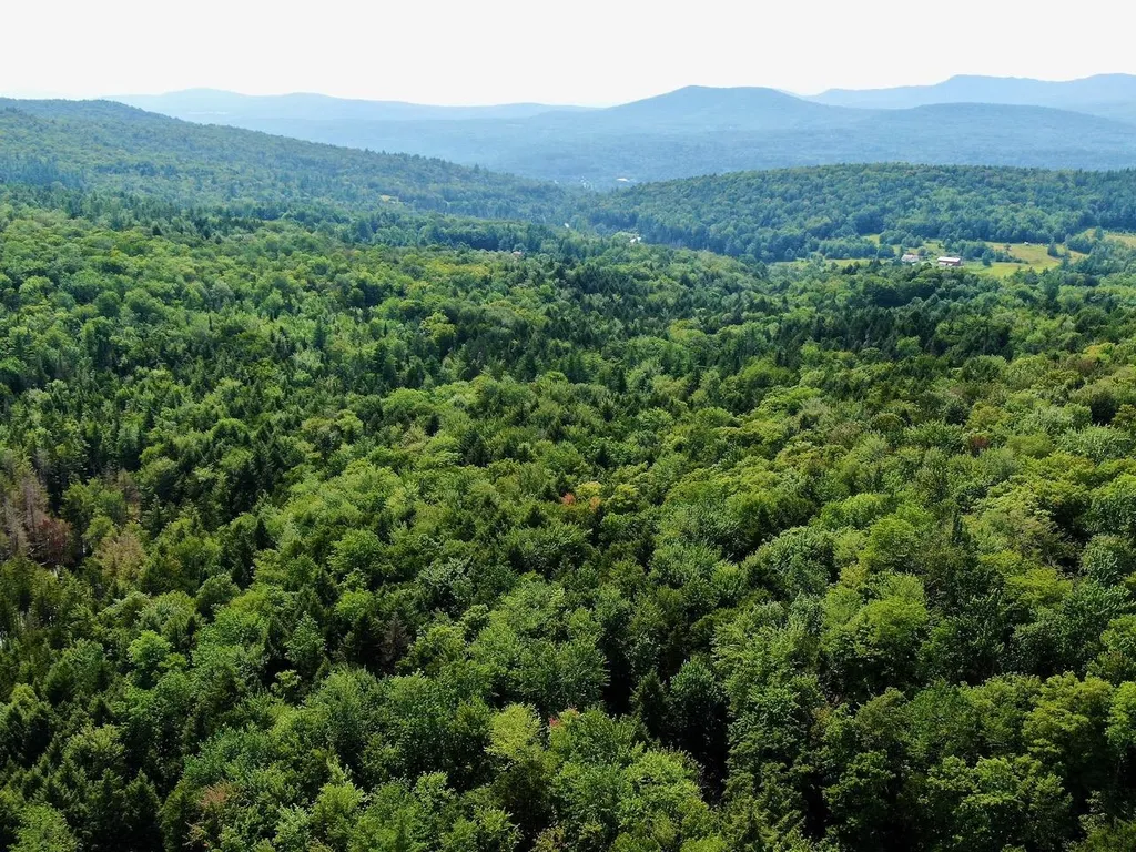 1440 Worcester Road Calais VT 05648