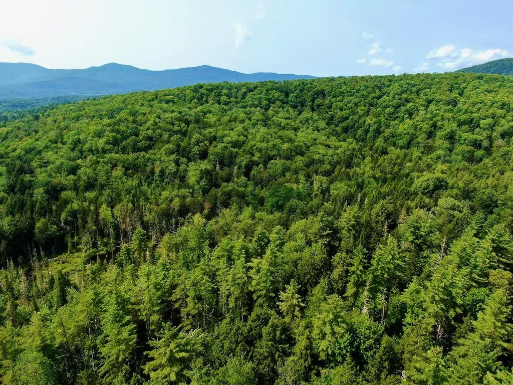 1440 Worcester Road Calais VT 05648