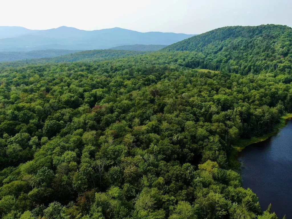 1440 Worcester Road Calais VT 05648