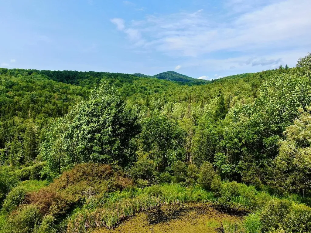 1440 Worcester Road Calais VT 05648