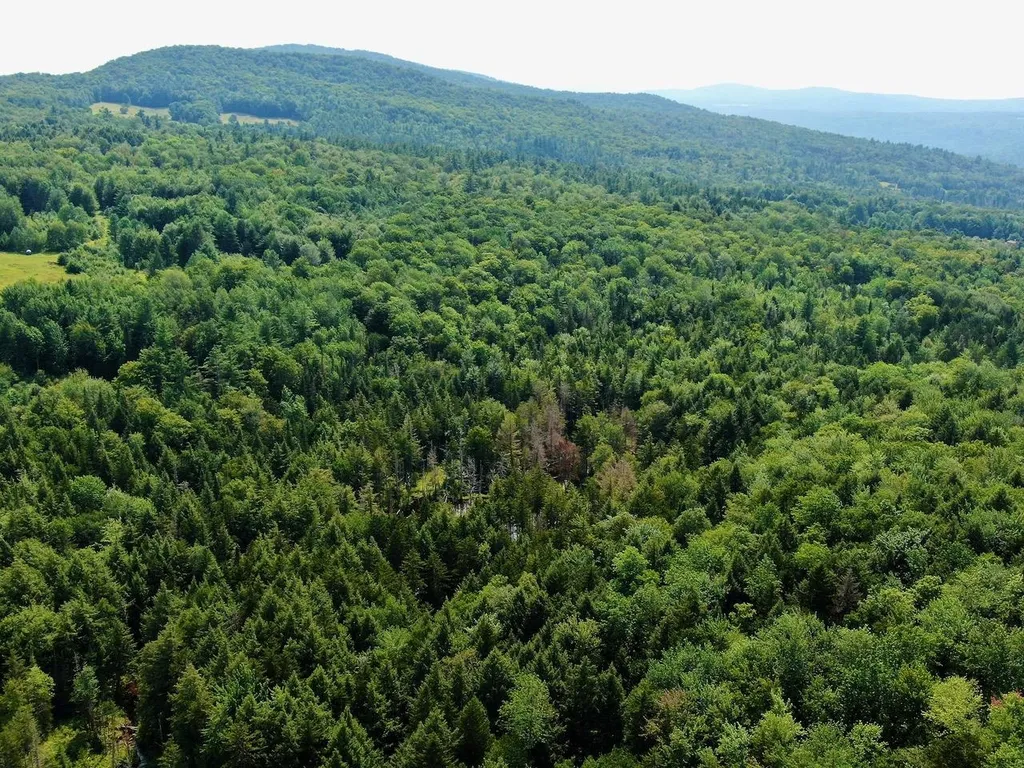 1440 Worcester Road Calais VT 05648