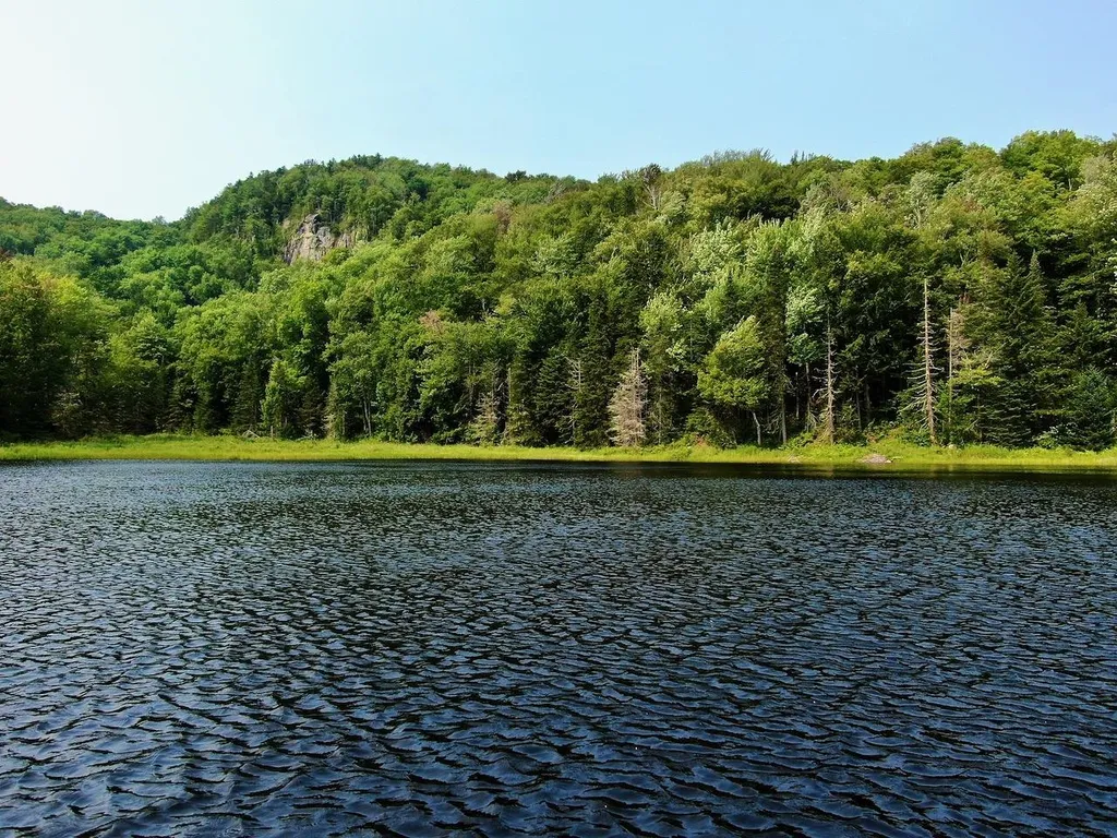 1440 Worcester Road Calais VT 05648