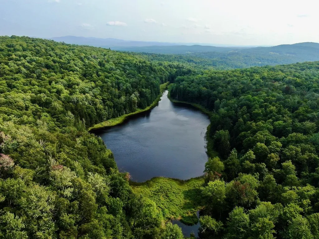 1440 Worcester Road Calais VT 05648