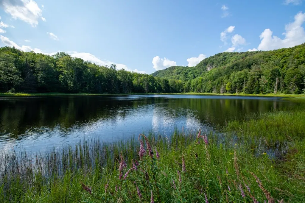 1440 Worcester Road Calais VT 05648