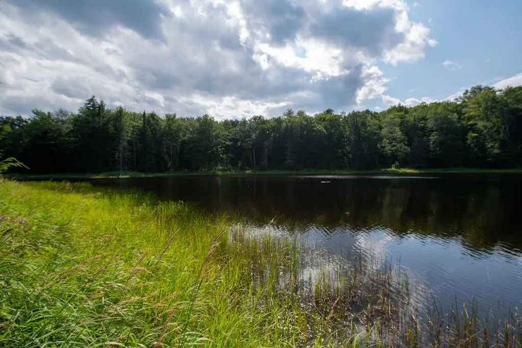 1440 Worcester Road Calais VT 05648