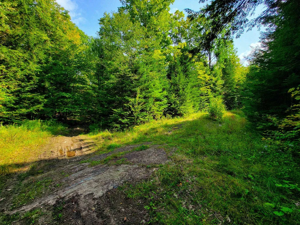 580 Forest Trail Newbury VT 05051