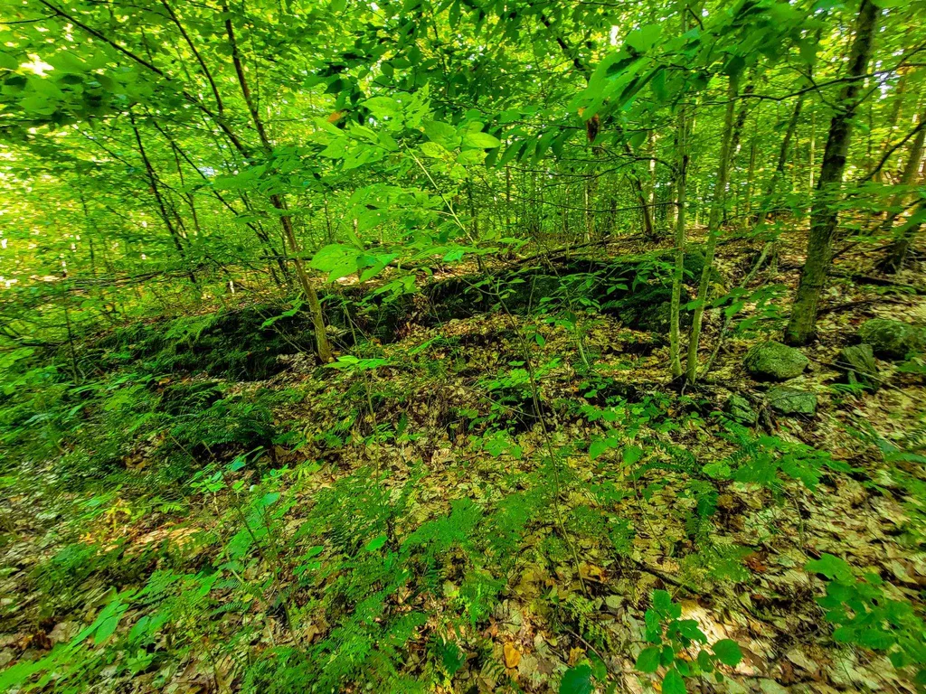 580 Forest Trail Newbury VT 05051