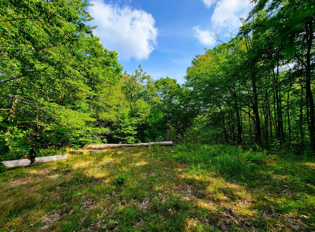 580 Forest Trail Newbury VT 05051