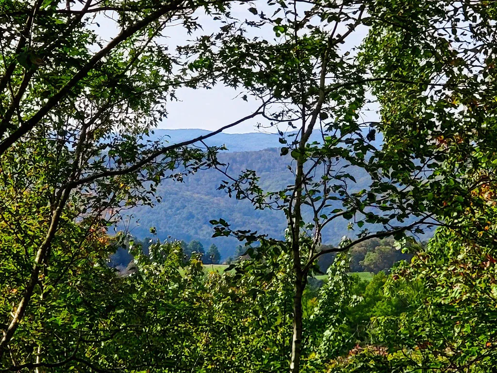 580 Forest Trail Newbury VT 05051