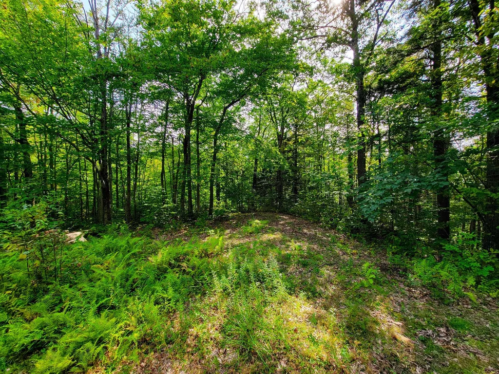 580 Forest Trail Newbury VT 05051