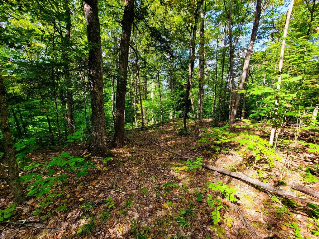 580 Forest Trail Newbury VT 05051