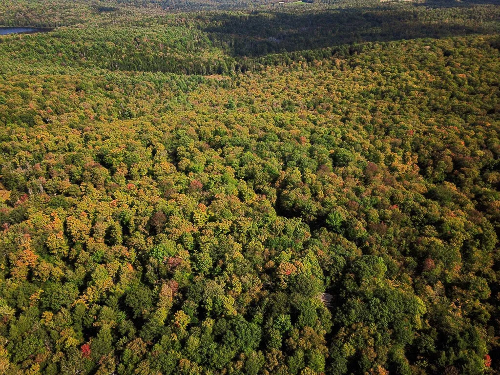 580 Forest Trail Newbury VT 05051