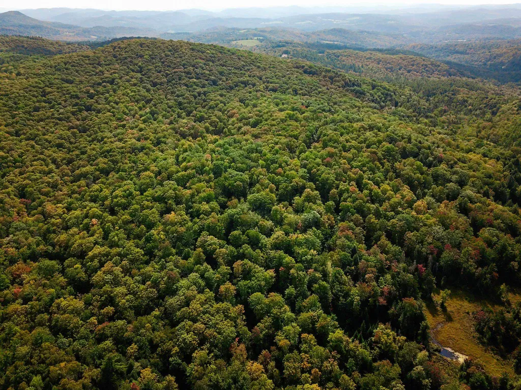 580 Forest Trail Newbury VT 05051