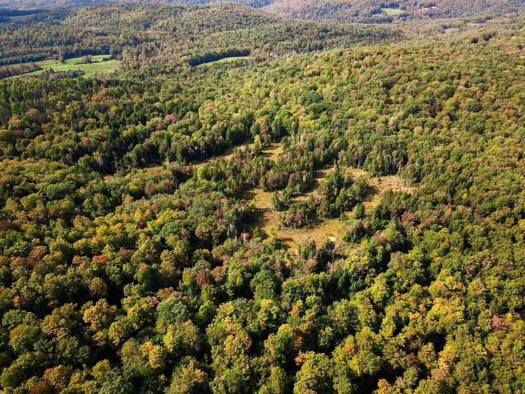 580 Forest Trail Newbury VT 05051