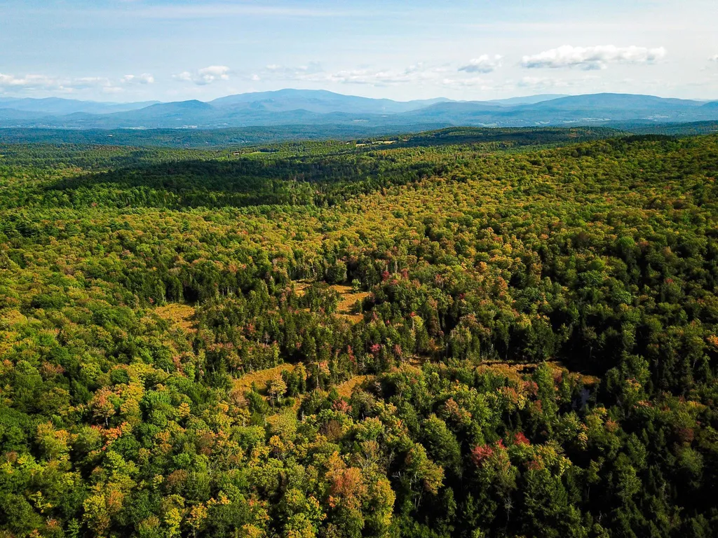 580 Forest Trail Newbury VT 05051