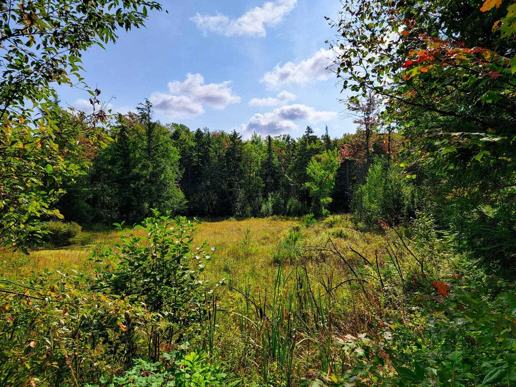 580 Forest Trail Newbury VT 05051