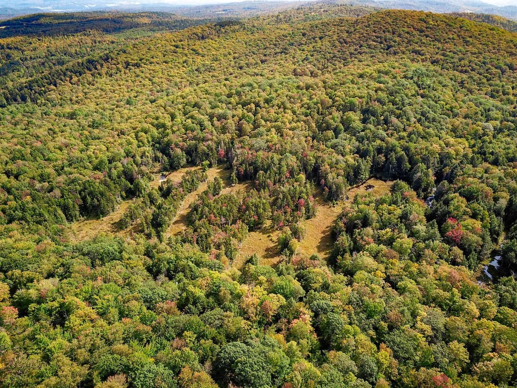 580 Forest Trail Newbury VT 05051