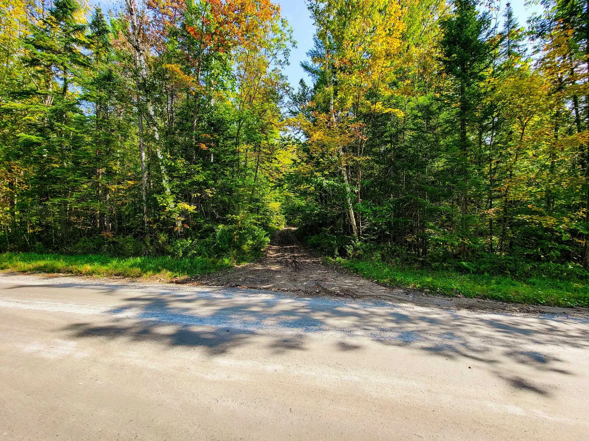 580 Forest Trail Newbury VT 05051