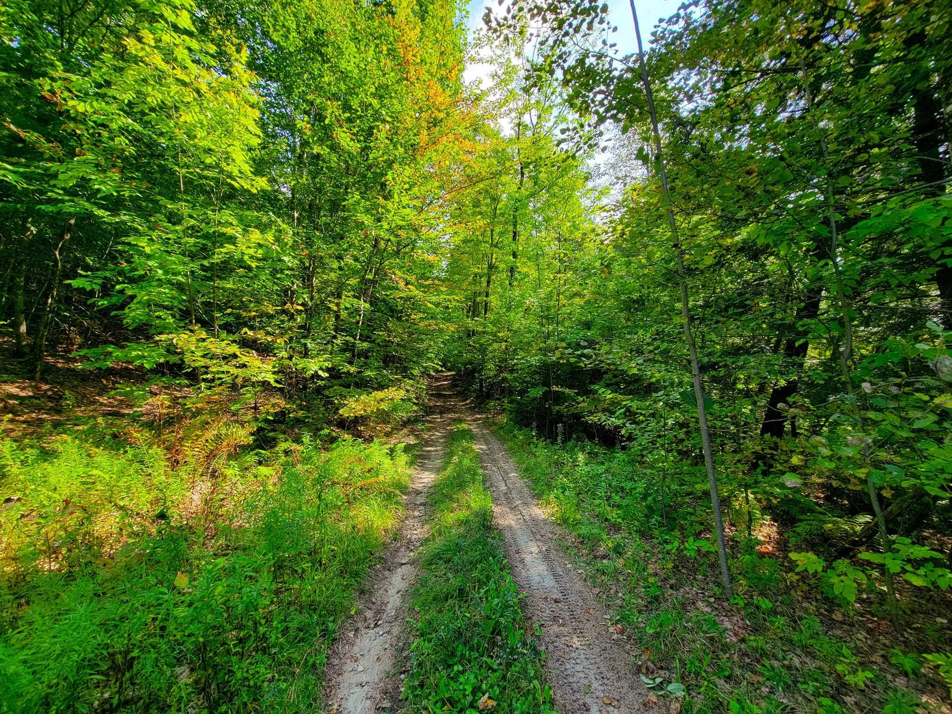 580 Forest Trail Newbury VT 05051