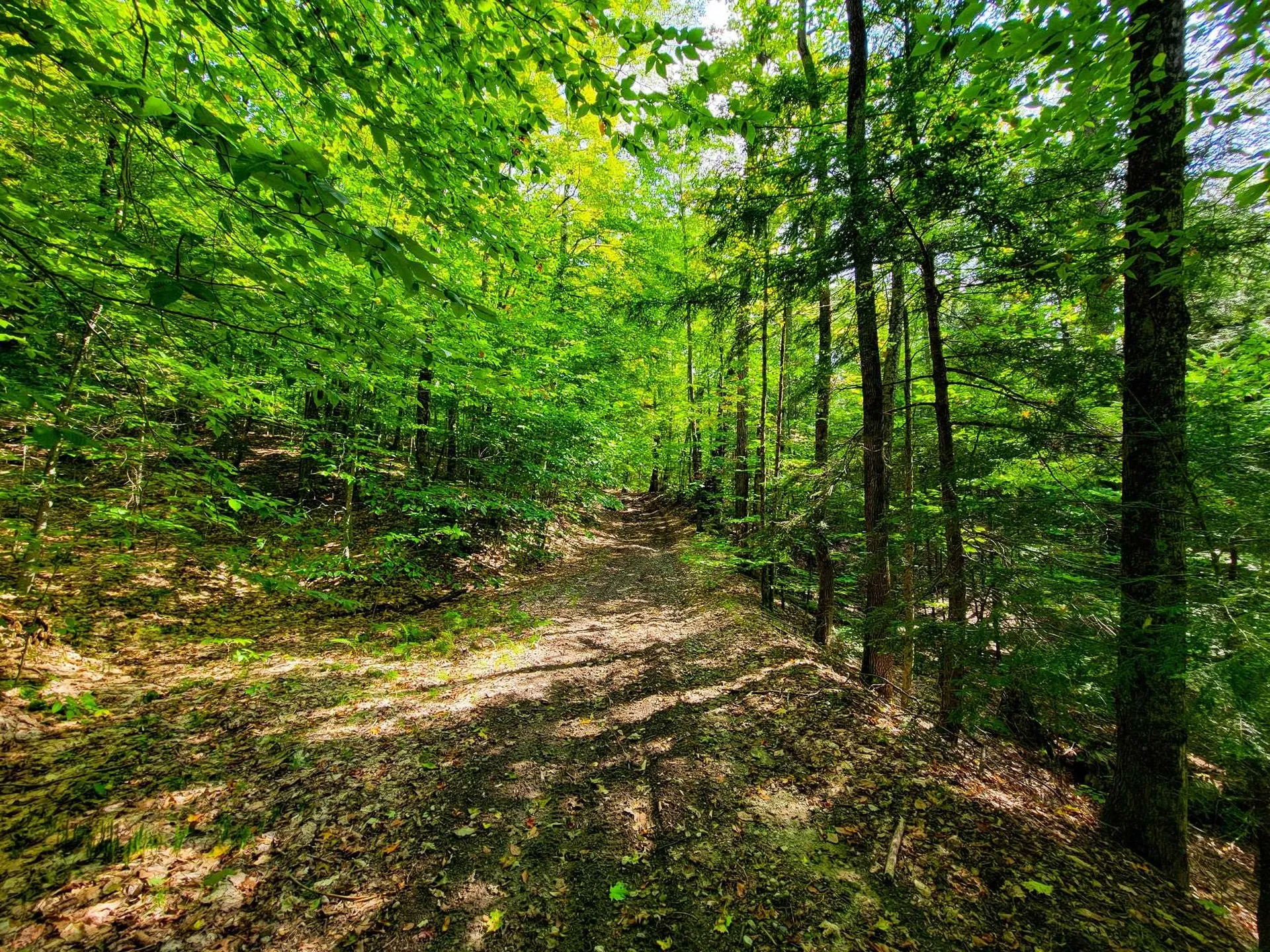 580 Forest Trail Newbury VT 05051