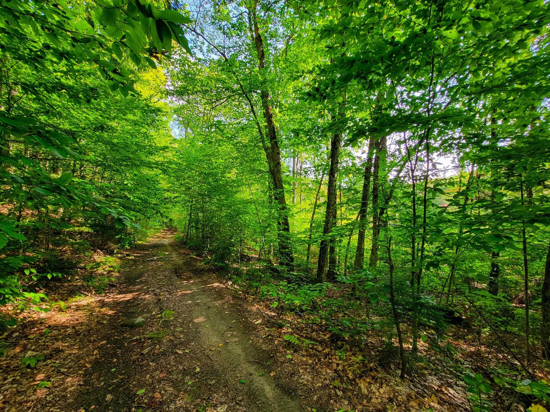 580 Forest Trail Newbury VT 05051