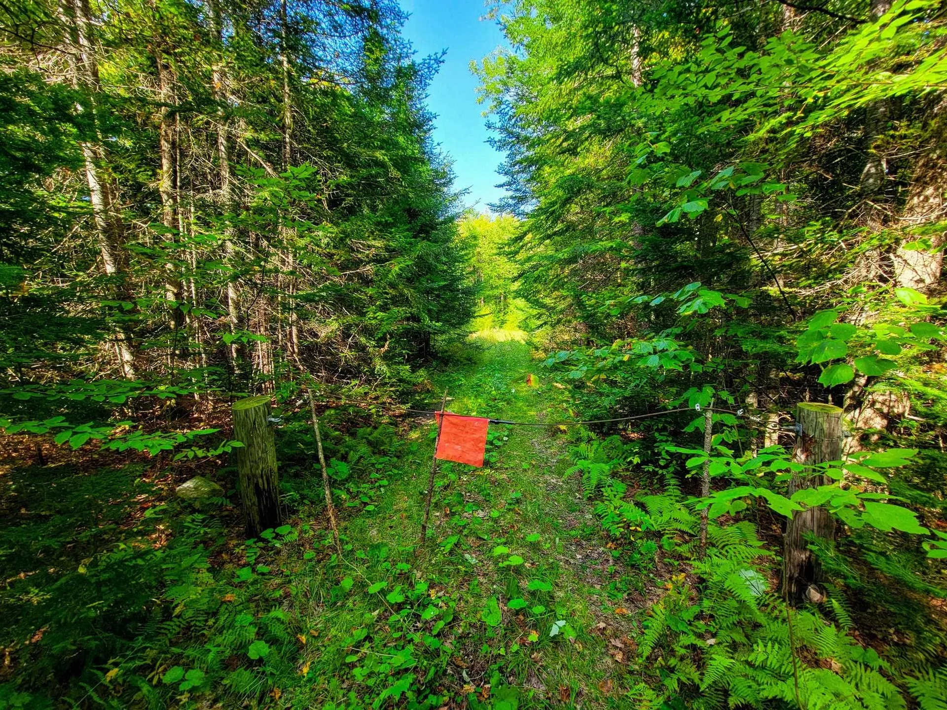 580 Forest Trail Newbury VT 05051