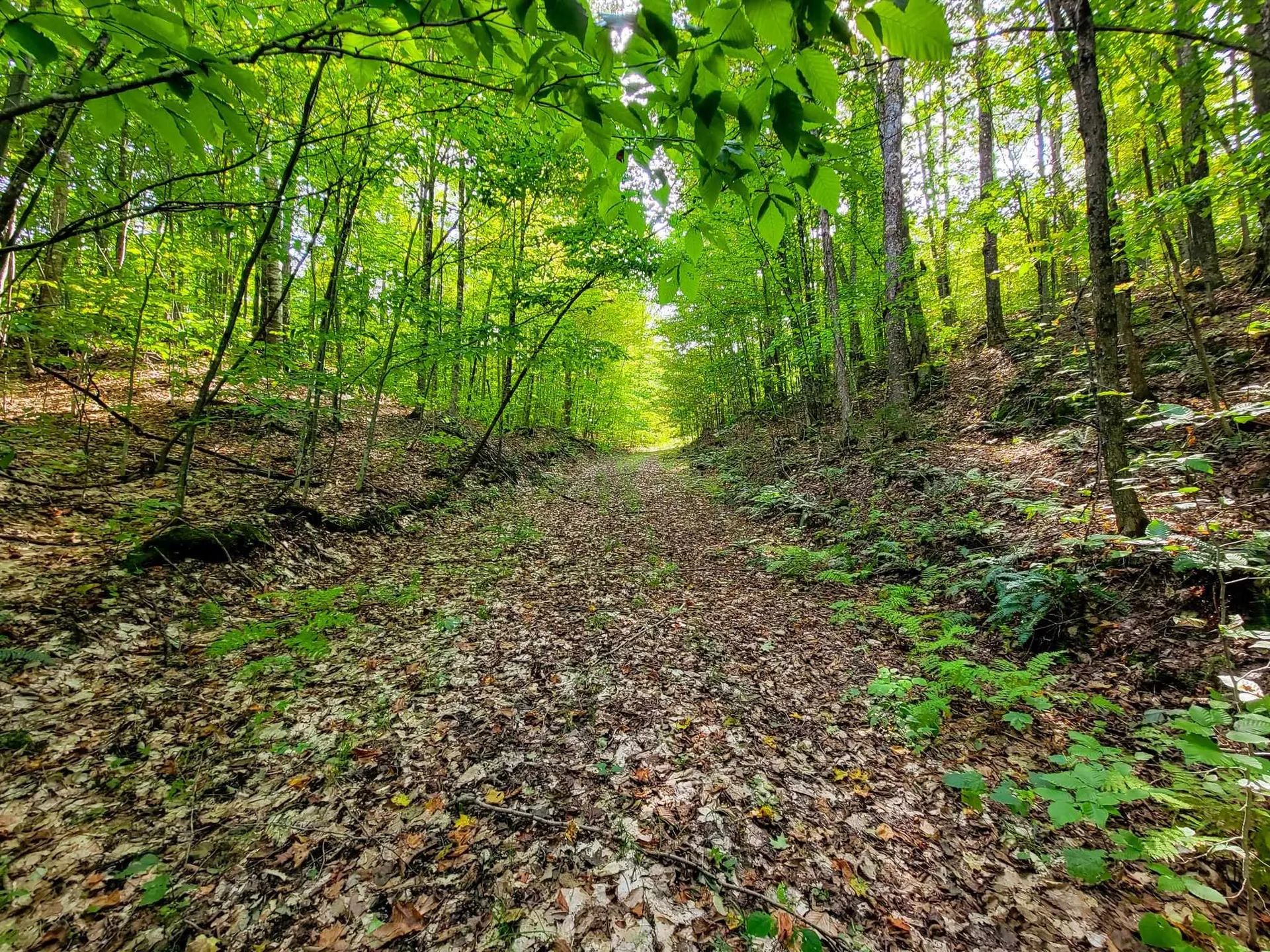 580 Forest Trail Newbury VT 05051