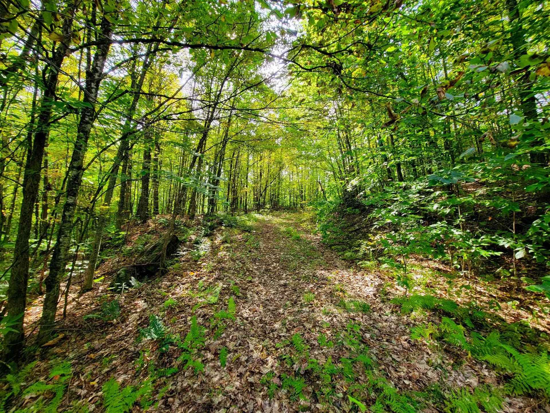 580 Forest Trail Newbury VT 05051
