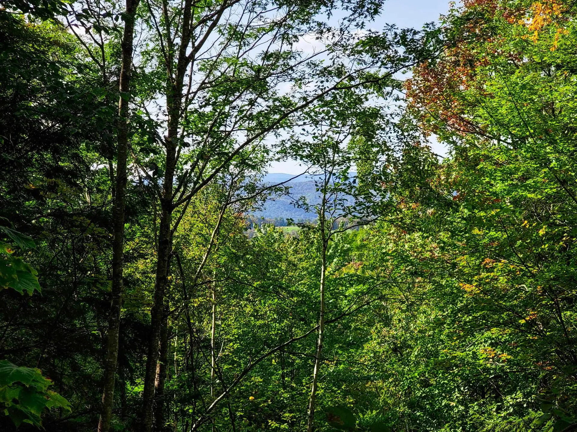 580 Forest Trail Newbury VT 05051