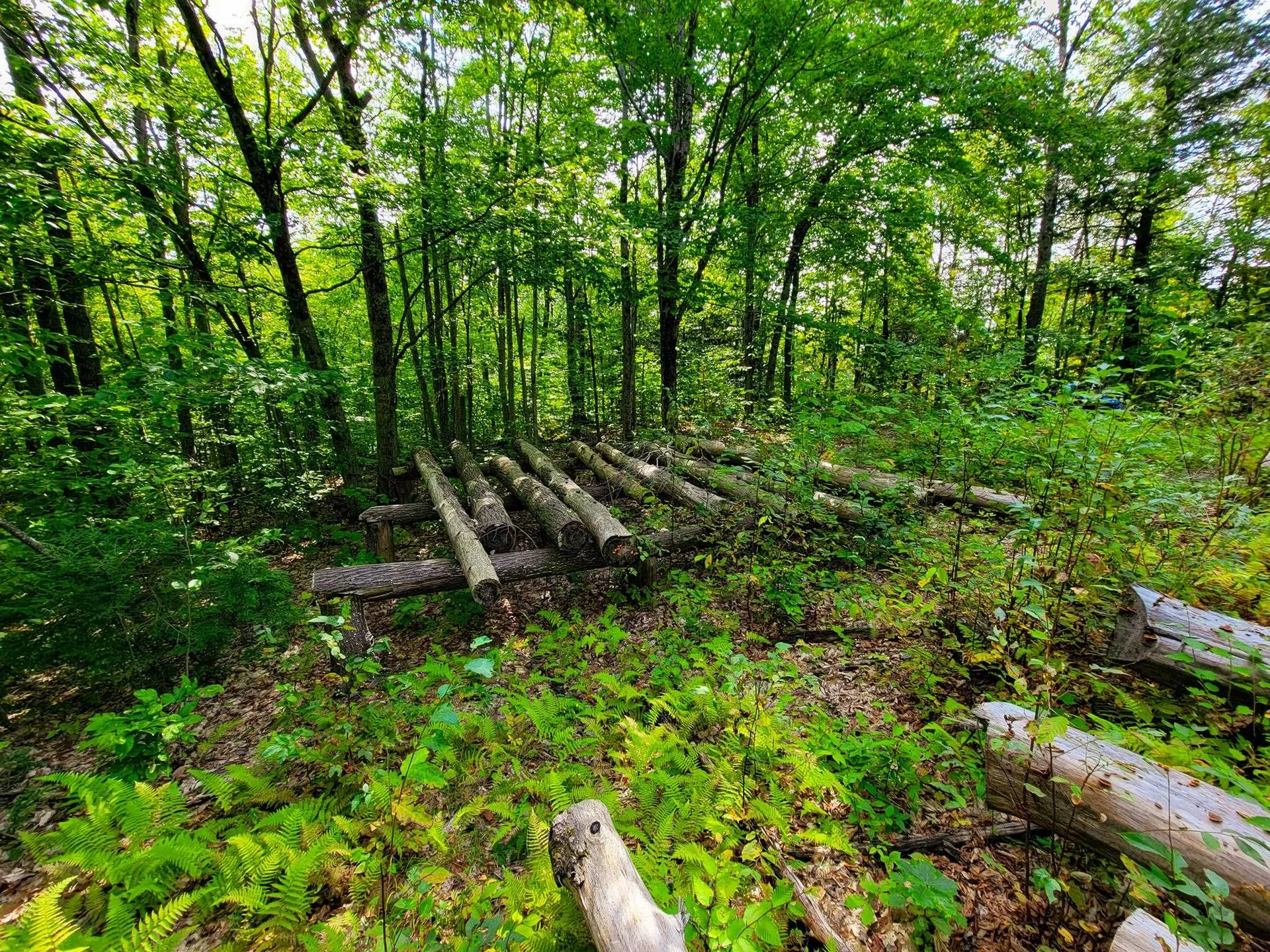580 Forest Trail Newbury VT 05051