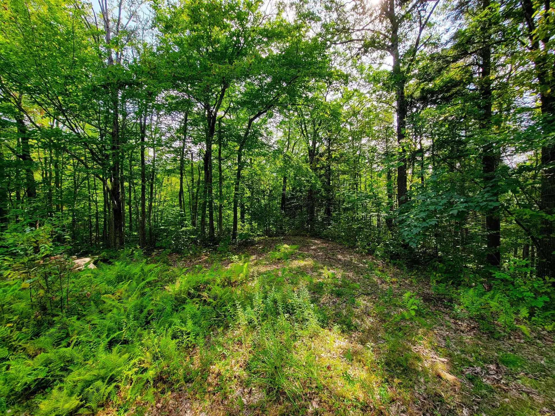 580 Forest Trail Newbury VT 05051