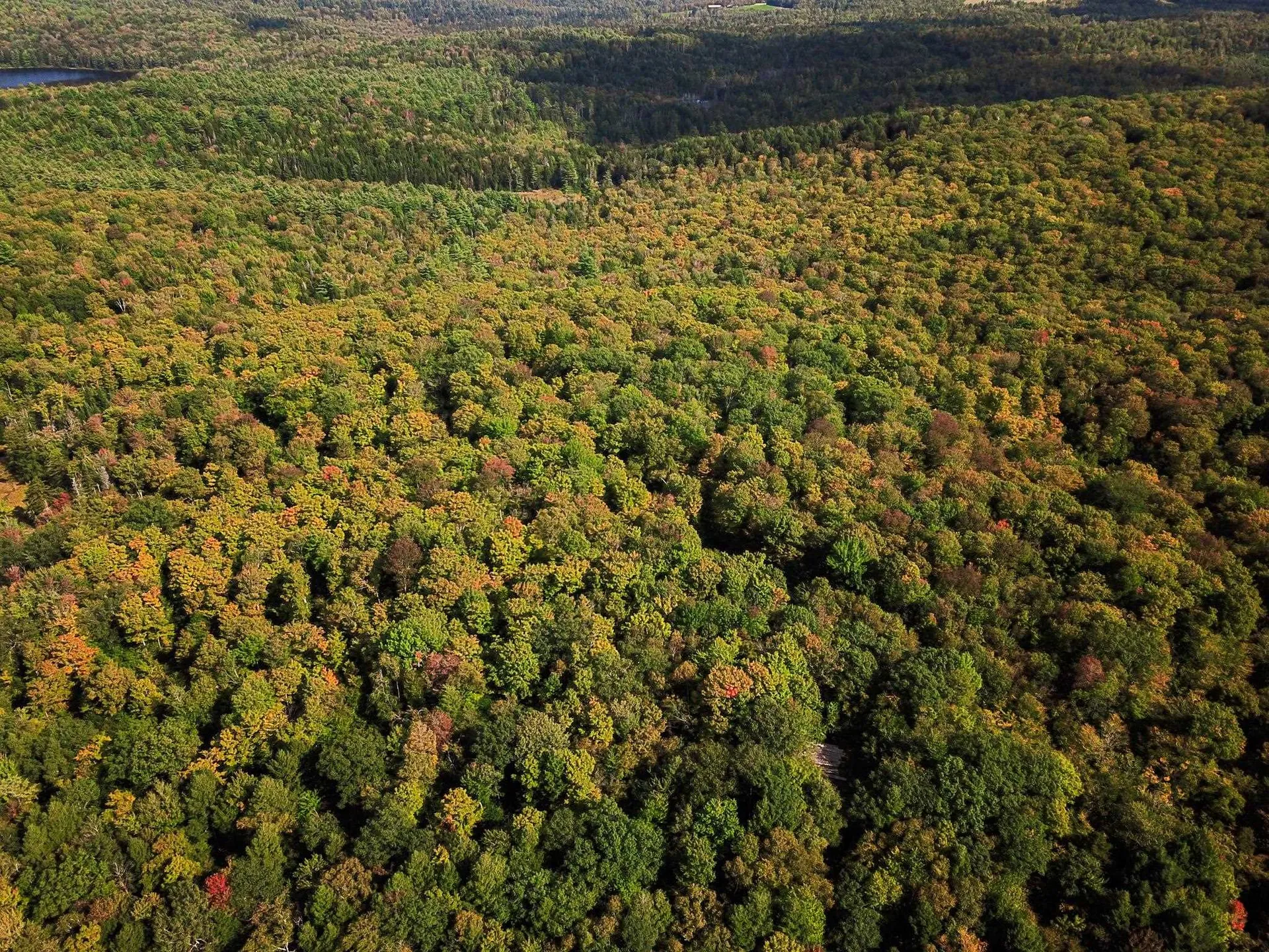 580 Forest Trail Newbury VT 05051