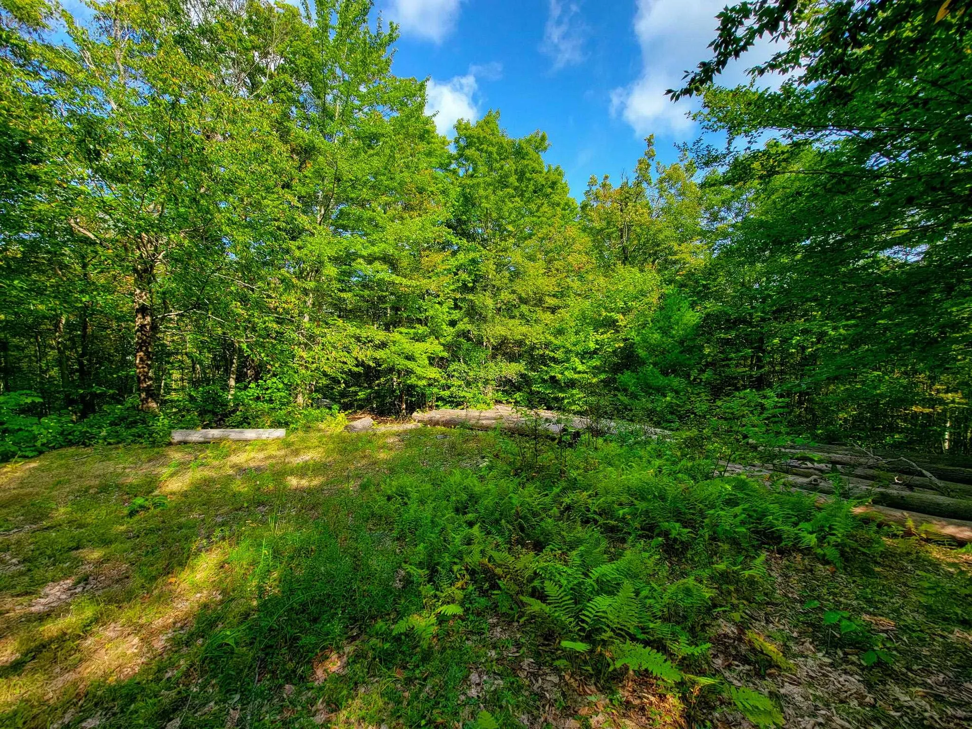 580 Forest Trail Newbury VT 05051