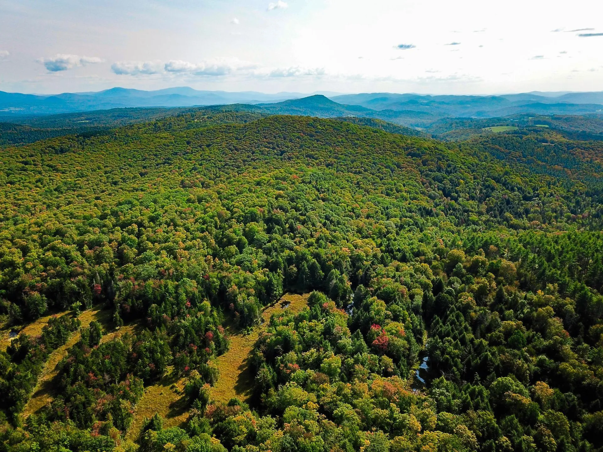 580 Forest Trail Newbury VT 05051