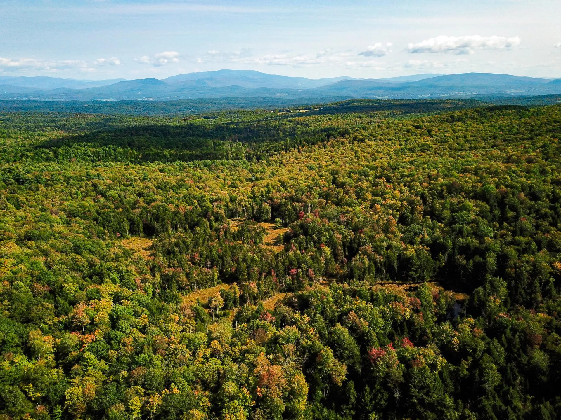 580 Forest Trail Newbury VT 05051