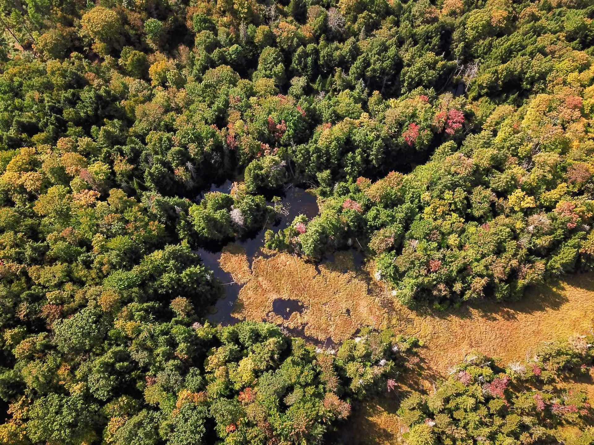 580 Forest Trail Newbury VT 05051