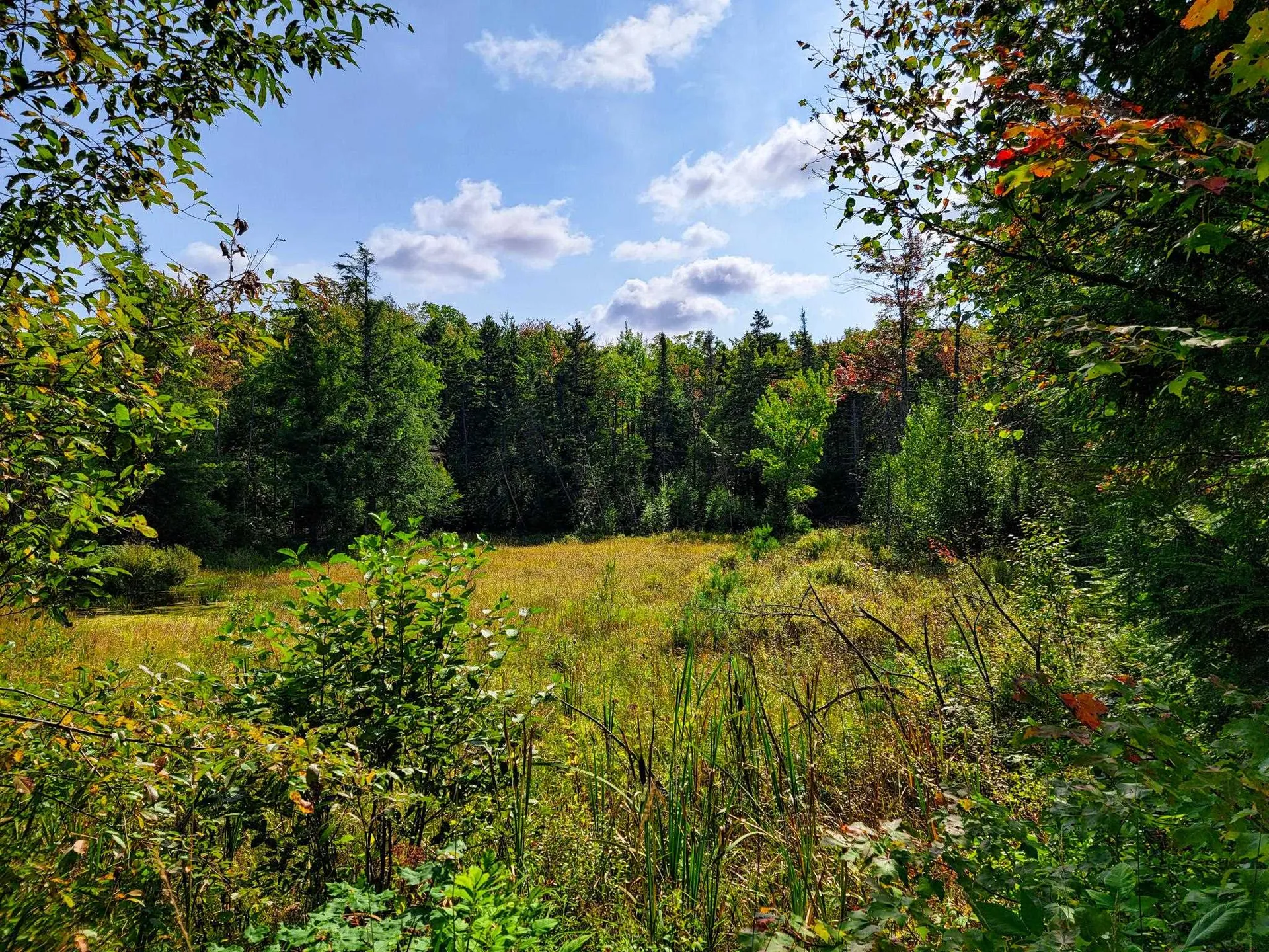 580 Forest Trail Newbury VT 05051