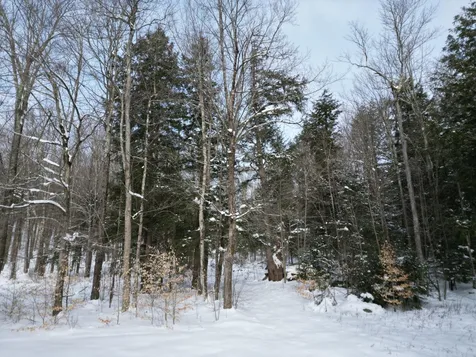 63 Potter Road Fairfax VT 05454