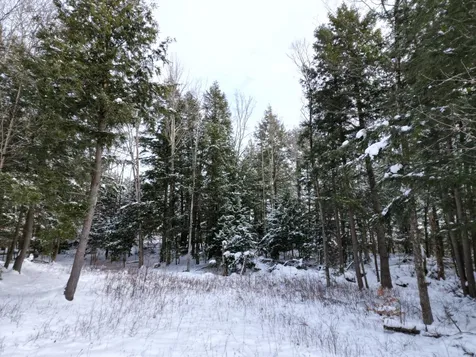 63 Potter Road Fairfax VT 05454