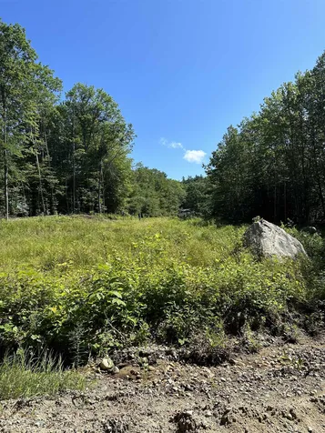 0 Mcmurphy Road Alexandria NH 03222