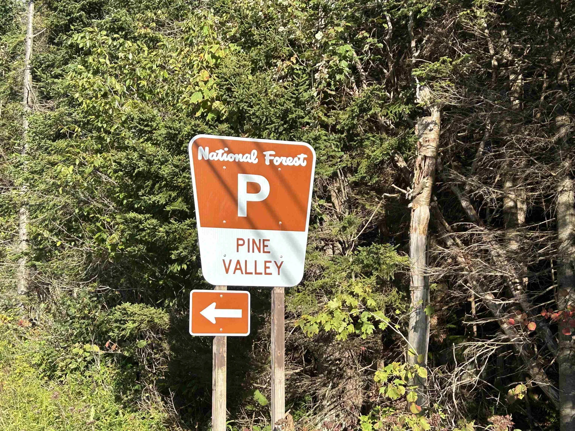 6923 Vt Route 9 Woodford VT 05201