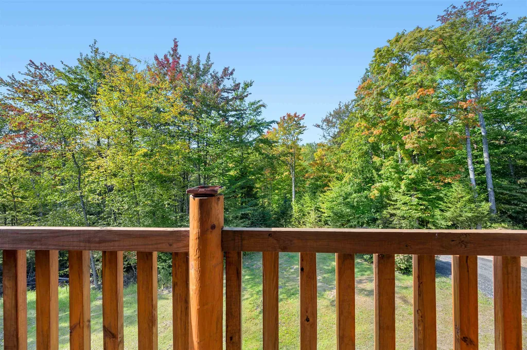 1673 Beaver Meadow Road Roxbury VT 05669
