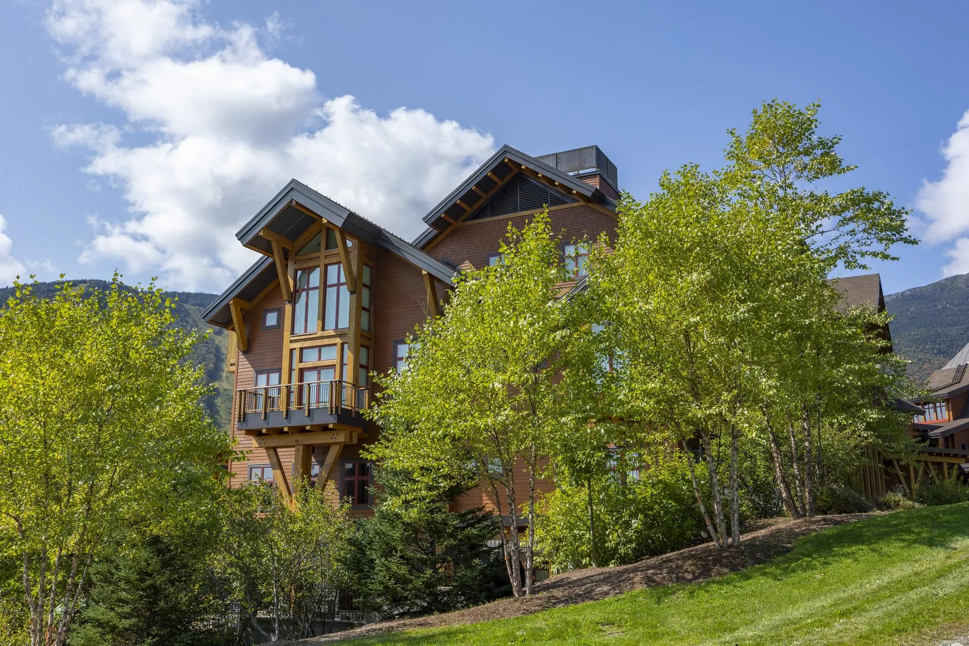 142 Red Sled Drive Stowe VT 05672
