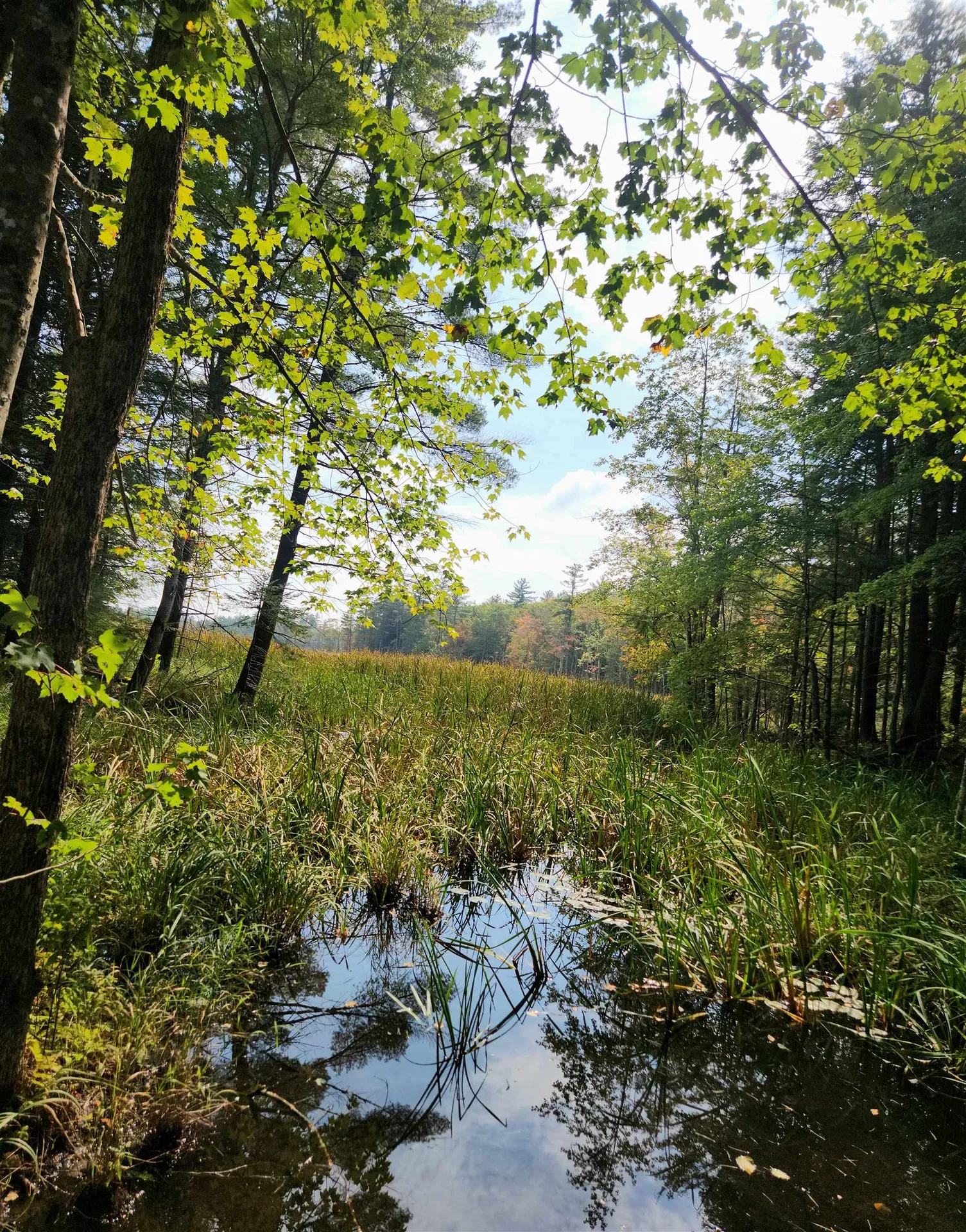 10 Orchard Drive Moultonborough NH 03254