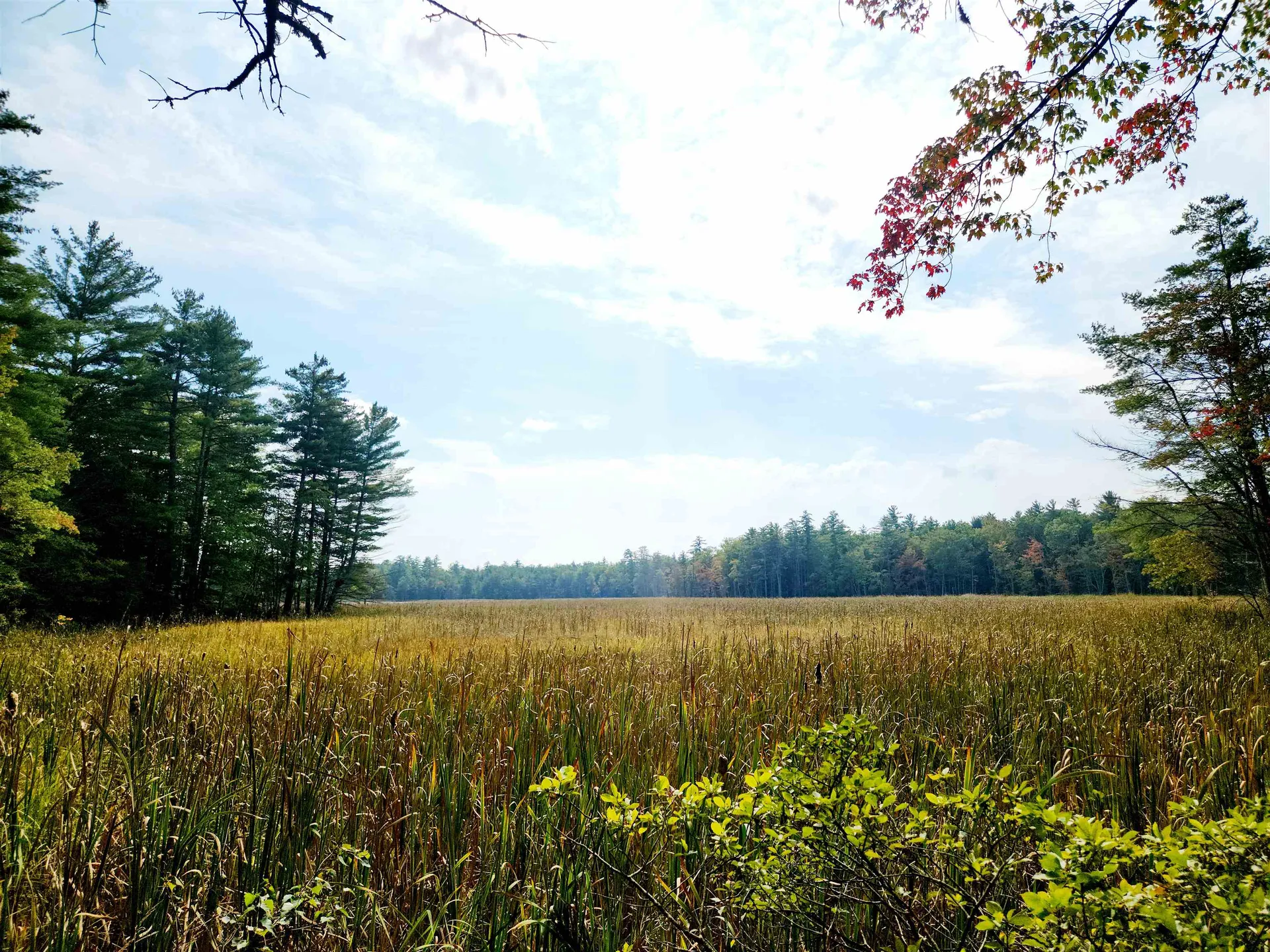 10 Orchard Drive Moultonborough NH 03254