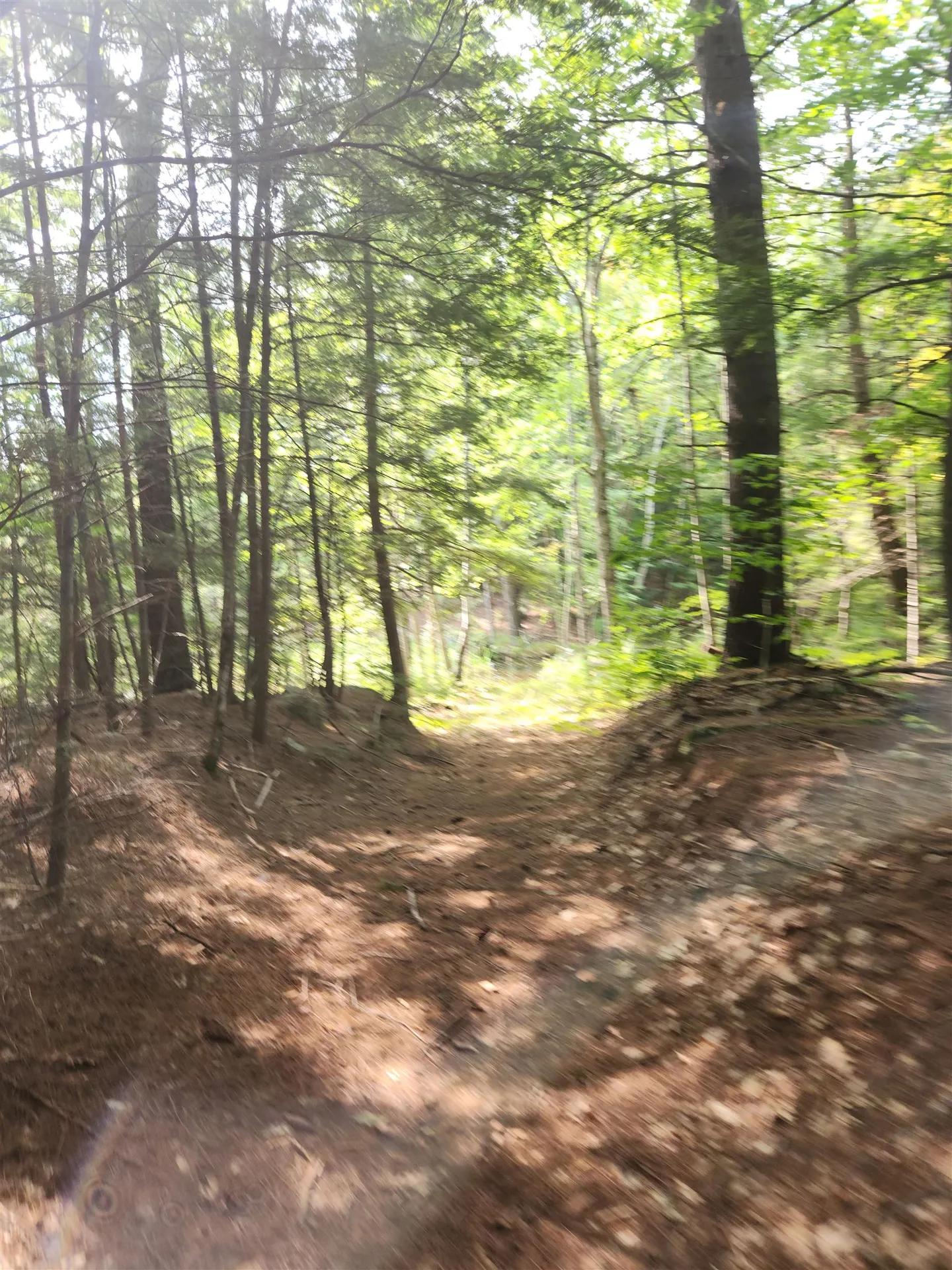 10 Orchard Drive Moultonborough NH 03254