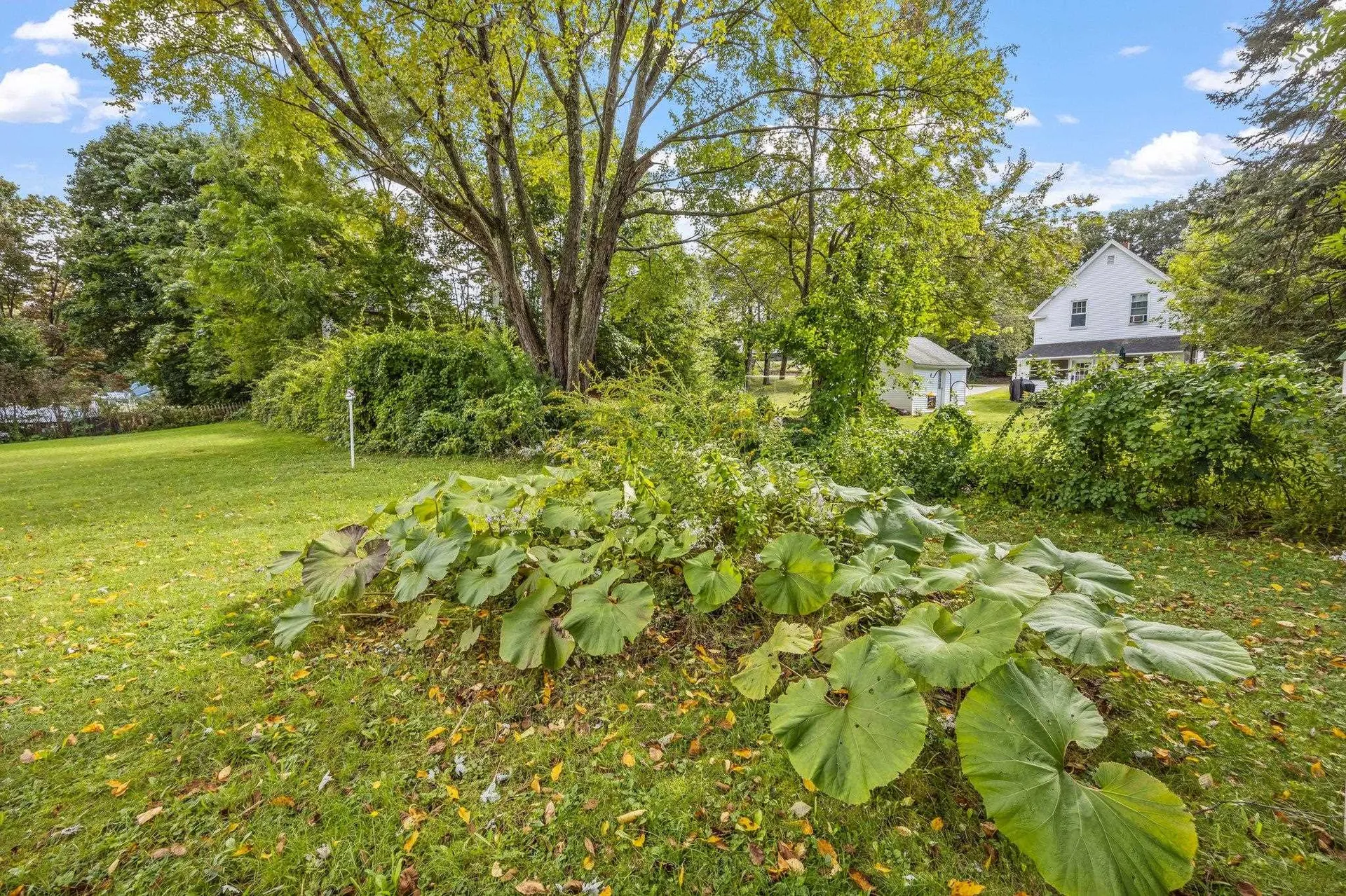 29 Lafayette Street Laconia NH 03246